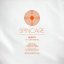 Spincare DENSITY 12 Inch 400g Polythene Outer Vinyl Record Sleeves 100 ks
