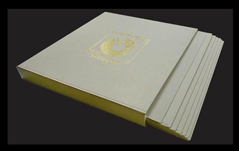 Simply Analog - DIVIDERS DE LUXE VINYL RECORDS BOXSET Barevné provedení: černé