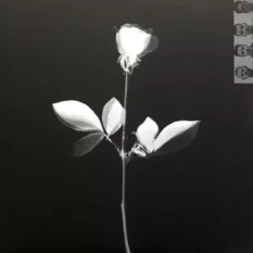 Depeche Mode - Violator LP