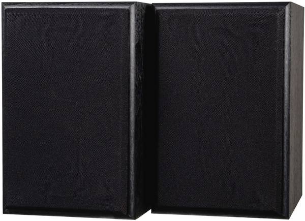Dual LS 100 Active Monitor