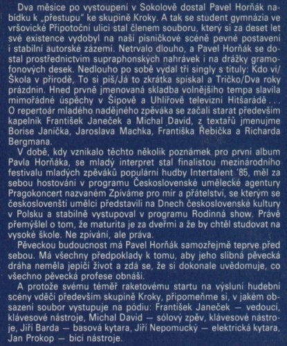 Pavel Horňák, Kroky Františka Janečka – Dva Roky Prázdnin LP
