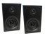Dual LS 100 Active Monitor