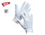 Rukavice na LP - Cotton Premium Gloves