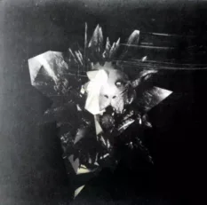 Linkin Park - Living Things LP Gatefold