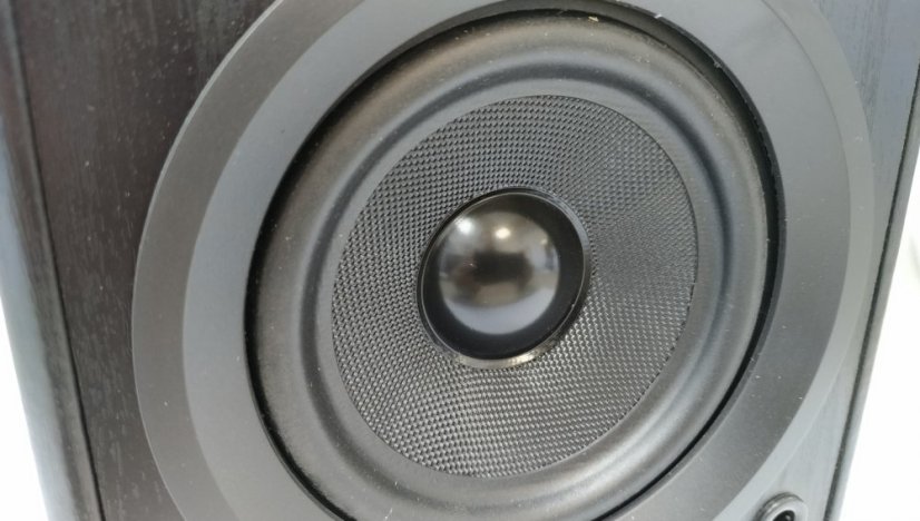 Dual LS 100 Active Monitor