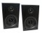Dual LS 100 Active Monitor
