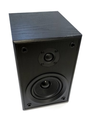 Dual LS 100 Active Monitor