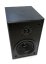 Dual LS 100 Active Monitor