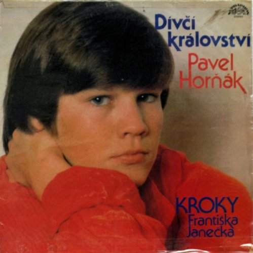 Pavel Horňák, Kroky Františka Janečka – Dívčí Království LP